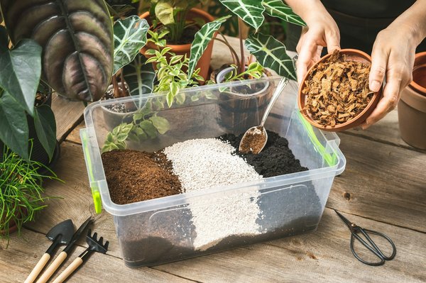 Comment intégrer des plats à base de lait de coco dans un menu de restaurant thaïlandais?